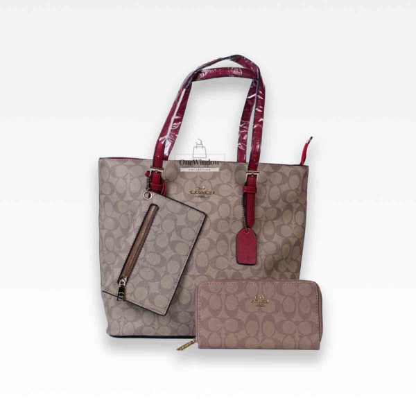 Coach Mollie Tote Large