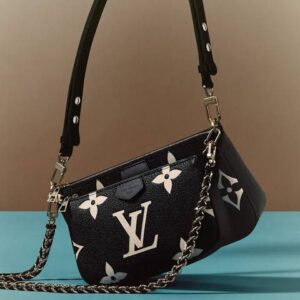 Louis Vuitton Bags