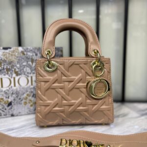 Christian Dior LadyMini Dior