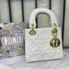 Christian Dior LadyMini Dior