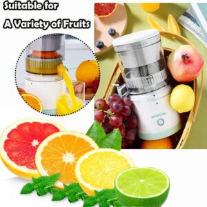 Portable Electric Orange Juicer